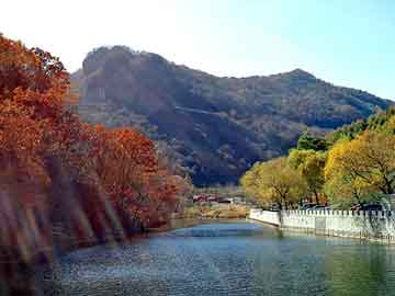 澳门二四六天天彩图库，2012年龙票